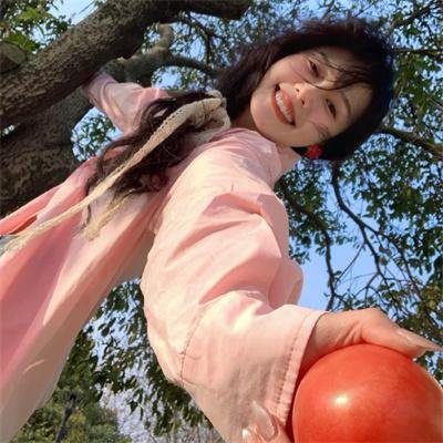 长毛狗